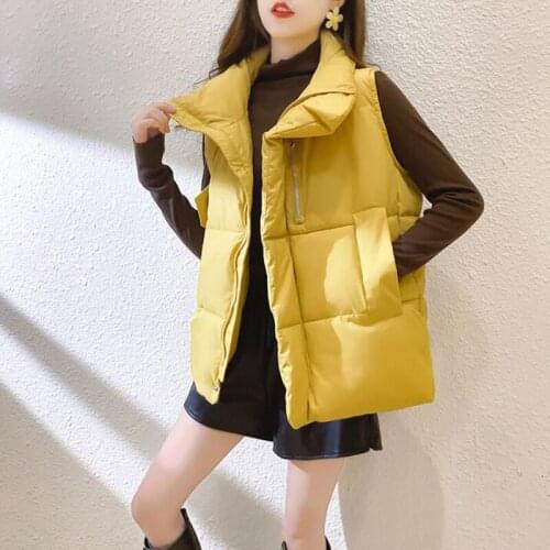 2020 Winter sleeveless vest jackets female Thick warm Stand collar Cotton vests Loose Coat korean fashion woman vest