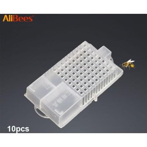 10pc Beekeeping Tools Bee Transparent Two Bin Queen Cages Insect Equipment Queen House Beehive Beekeeper Apiculture