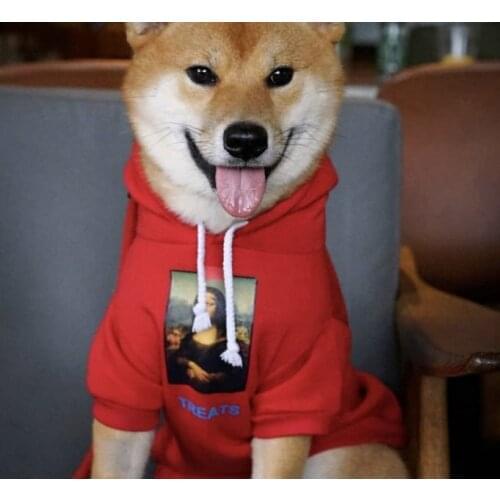 Brand Name Cheap Pet dog sweater clothes Small Puppy dogs Coat Hoodies clothes for Chihuahua sweatershirt B979