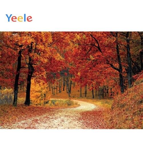 Yeele Autumn Landscape Bedhead Maple Tree Red Leaves Photography Backdrop Personalized Photographic Backgrounds For Photo Studio