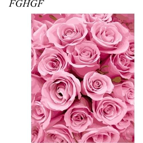 FGHGF Frameless pictures Digital oil painting decorative painting colored drawing painting by numbers