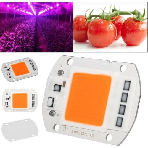 JX-LCLYL LED Plant Lamps