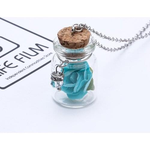 Girls Romantic Luminous Glow In The Dark Dry Flower Pendant Necklace For Women Fresh Glass Wish Bottle Chain Necklace Jewelry