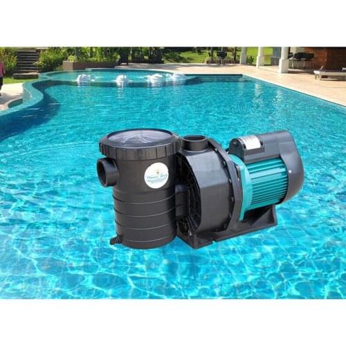 Large Flow HL-150 Type 1.1KW Spa Water Pump Self-priming for Swimming Pool Fish Garden Water Pump 460L/M Max