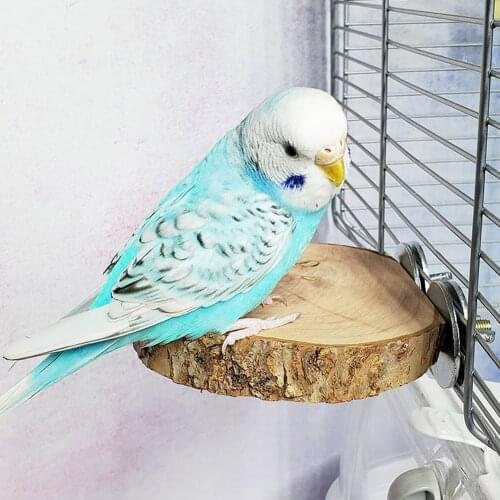 Small Parrot Bird Cage Stand Platform Bird Standing Stick Perch Round Wooden Biting Toy Stairs Pet Hamster Hanging Toy Accessori
