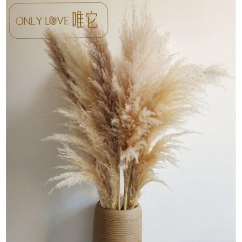 10pcs Dried reed flower bouquet natural air dried real wedding venue decoration props photo party layout net safflower indoor