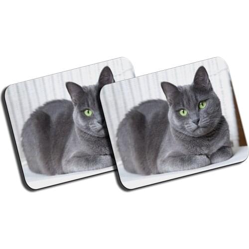 MERCHANDMANIA PACK 2 medium cat mats Russian Blue very monkey mousepad raton offer