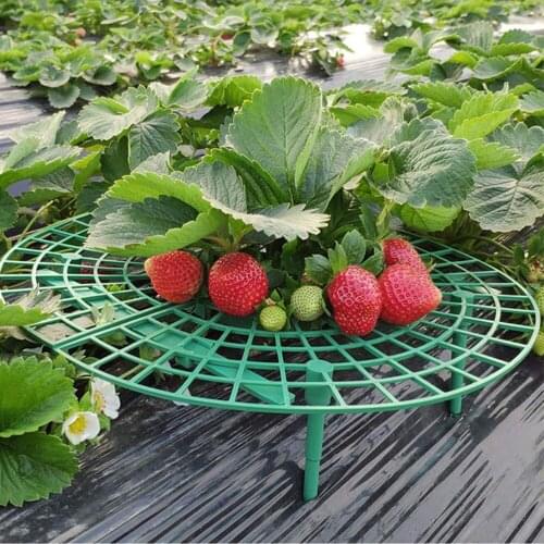 Товары для скалолазания и альпинизма RDDSPON China At AliExpress