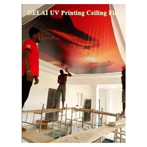 Dolphin 3D Print Ceiling Tiles PVC Stretched Ceiling Film For Home decoration pvc ceiling film