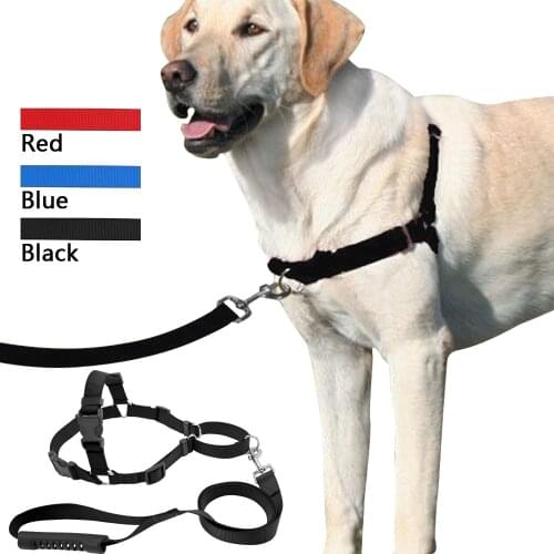 Pet No-Pull Nylon Dog Harness With Leash Training Harness Stop Pulling On Lead Small Medium Large