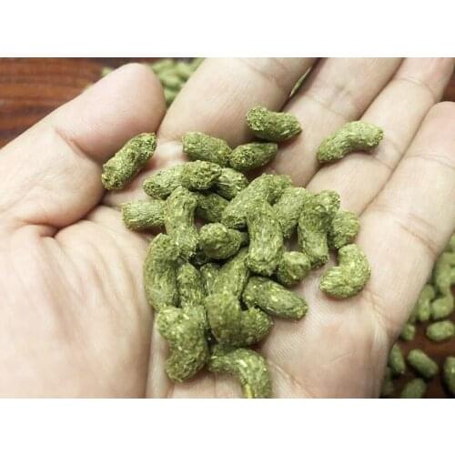 Turtle Tortoise Food Feed Sticks Granules Reptile Aquarium Fish Food Normal Edition 100/200g