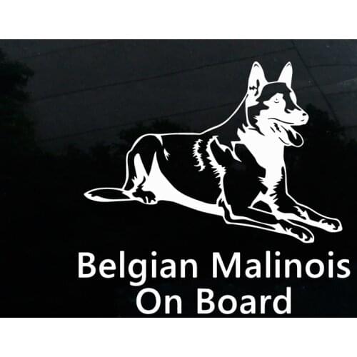 DasDecal Interesting Belgian Malinois on Board Car Sticker Waterproof Decal Motorcycle Auto Accessories Decoration PVC,12cm*12cm