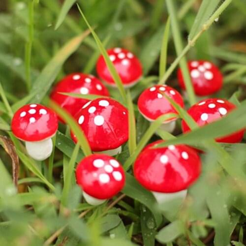 Micro Landscape Mushroom 20pcs Kawaii Resin Craft Decoration Mushroom Fairy Garden Miniatures Accessories Garden Decoration