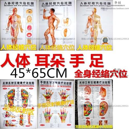6pcs/set medical Meridian acupuncture wall charts human body meridian points diagrams hand-foot wall charts Scrapping flipchart