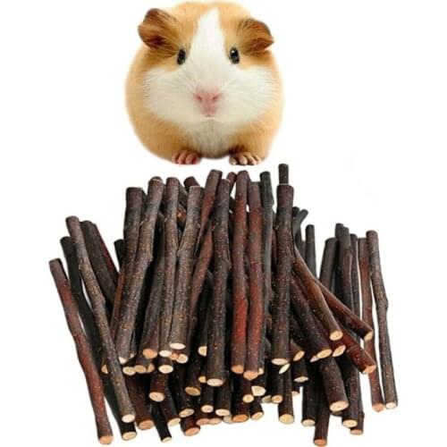 Hamster Rabbit Teeth Grinding Natural Apple Tree Branch Stick Minerals Molar Wood Chew Toys for Chinchilla Small Pet Supplies