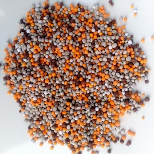 1kg compound fertilizer NPK 30-4-6 Slow release flower fertilizer
