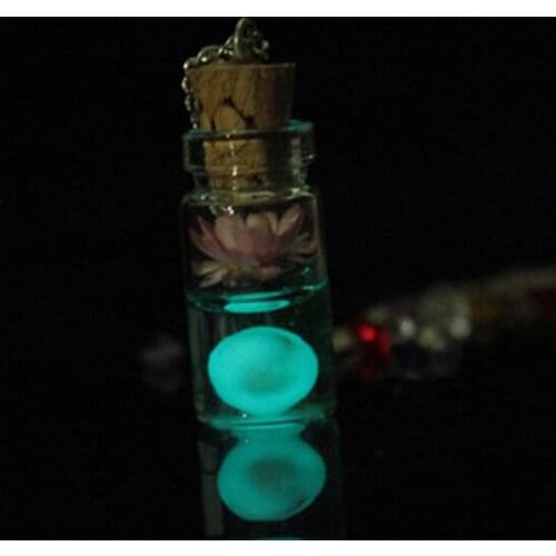 Hot Sale Vintage Luminous Glow Dark Flower Pendant Fluorescent Glass Drift Bottle Necklace Gift Jewelry