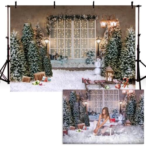 Christmas Photography Background X-mas Tree Sled Snowfield Backdrop French Windows Party Decoration Prop Banner For Photo Studio
