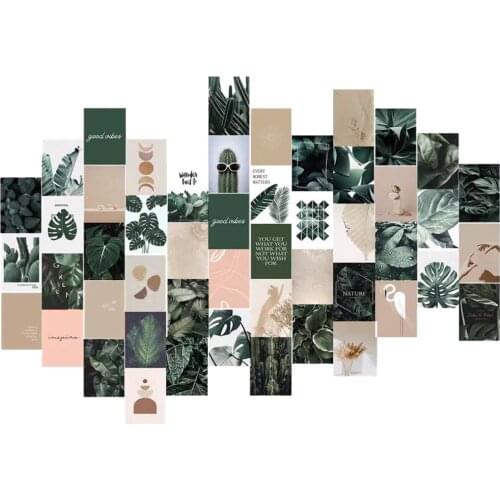 50Pcs Green Plant Nature Series Cactus Leaf Bird Aesthetic Wall Collage Kit for Boys & Girls Teen Bedroom Wall Decoration Gift
