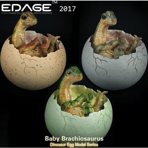 EDAGE Brachiosaurus Baby Egg Figure Dinosaur Toys Animal Collector Decoration Adults Gift