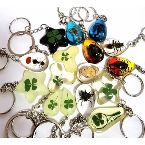 16 pcs fashion real scorpion king cran ant four leaf clover beetle charming keychain