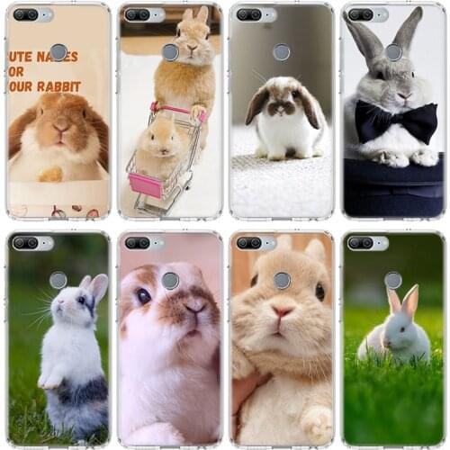Cute Animal Rabbit Phone Case For Huawei Honor 10 9 20 Lite 9X 8X 8A Pro 7A 7X Y5 Y6 Y7 Y9 2019 V20 V30 Soft Cover Coque