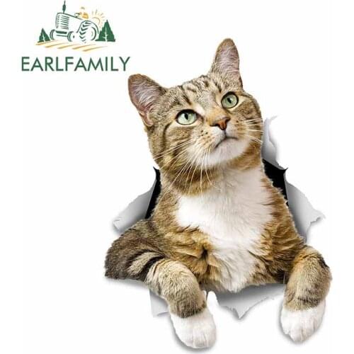 EARLFAMILY 13cm x 9.6cm for Cat Vinyl Car Wrap Stickers Interesting Decal Car Styling DIY Custom Printing For JDM SUV RV Decor