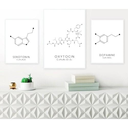 Minimalist Black and White Canvas Painting Chemistry Molecular Equation Poster Serotonin Wall Picture Living Room Decoration Art