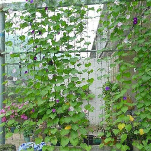 Garden Green Nylon Trellis Netting Mesh Melons Support Climbing Bean Plant Nets Grow Fence Thickened Line 1.8x0.9m