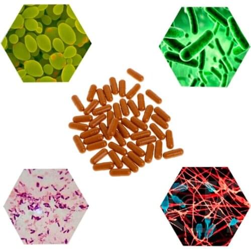 Nitrifying Bacteria Capsule Aquarium Fish Tank Super Concentrated Capsules Water Quality Purifier Supplies for freshwater