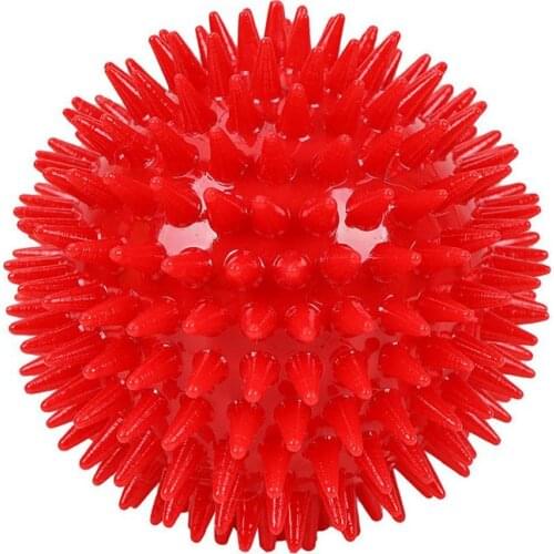 Pet Toy Dog Squeaky Ball Pet Spike Ball Fetch Chewing Ball Teething Toy Wear Resistant To Bite Toy For Dog