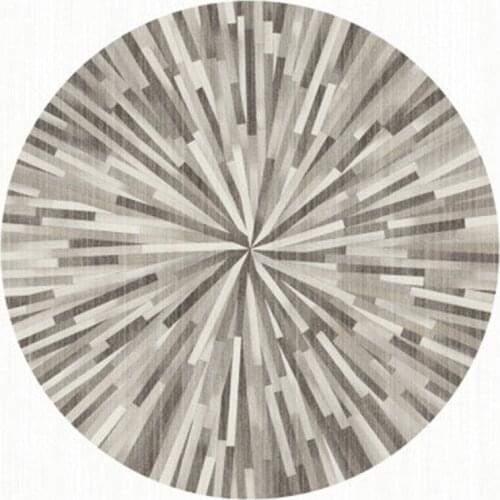 Nordic Style Round Carpet Irregular Pattern Sofa Side Living Room Decoration Non-slip Hanging Chair Simple Modern Rugs