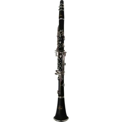 Popular grade Tone Bb 17 key Ebonite body Clarinet