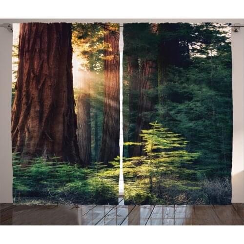 Forest Curtains Early Morning Sunshine in Woodland Satin Fabric Drapes for Living Room Bedroom 2 Panel Window Set