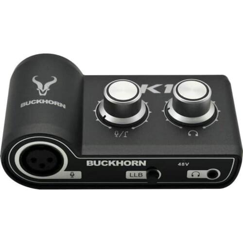 Professional Mini Sound card usb interface 1-in/2-out audio studio recording for music Better than focusrite scarlett solo