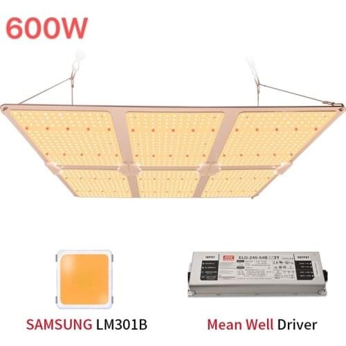 Berix LED Plant Lamps