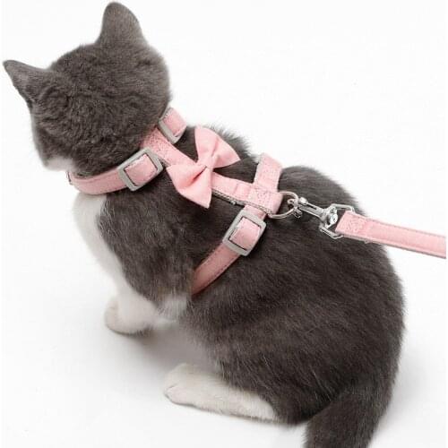 Adjustable Cats Harness Leash Puppy Dogs Harness Leads Set Breathable Pet Clothes For Small Dogs Cat Collar Leash Set