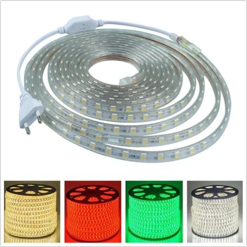 Waterproof SMD 5050 led tape AC220V flexible led strip 60 leds/Meter outdoor garden lighting with EU plug