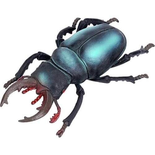 Simulation Wildlife Model Ornaments Realistic Insect Figure Children Educational Props Scene Decoration Kids Learning