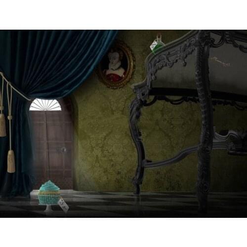 Storybook Alice In Wonderland room door curtains background High quality Computer print children kids backdrop