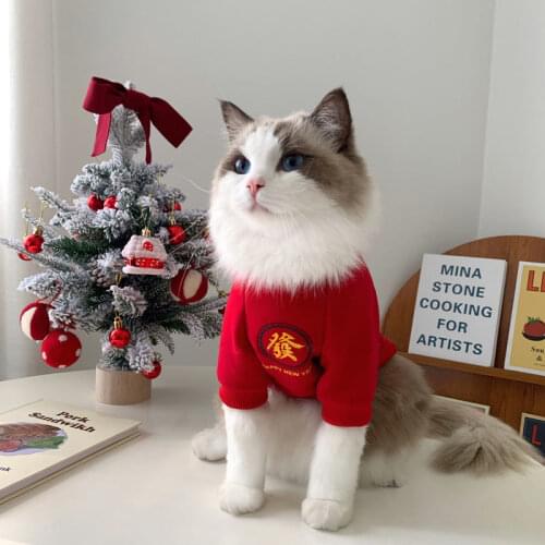 Diliget.Te Products For Cats