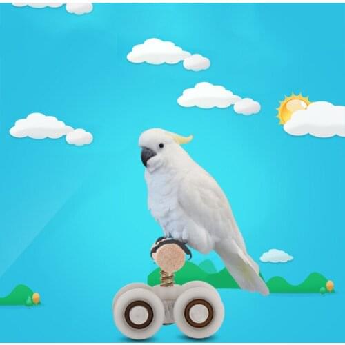 2021 New Bird Accessories Parrot Toy Training Pulley Small Sun Cockatiel Bird Supplies Roller Skates Skateboard