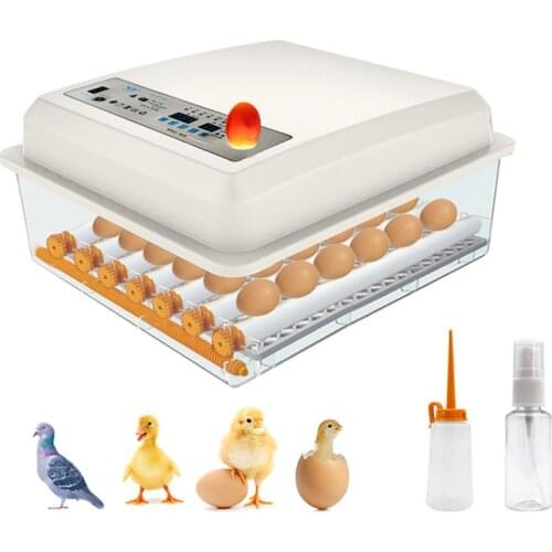 Fully Automatic 36 Eggs Incubator Turner Brooder Bird Intelligent Warming Incubators for Quail Chick Poultry Hatcher 110V/220V