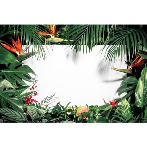 Summer Tropical Forest Jungle Green Leaves Baby Birthday Custom Backdrop Photography Background For Photo Studio Photophone Prop