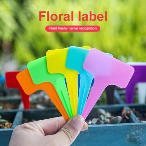 50pcs/pack Garden Ornaments Plastic Plant Labels Nursery Flower Tag Mark Plant Flower Tag Reusable Gardening Label T Type 10x6cm