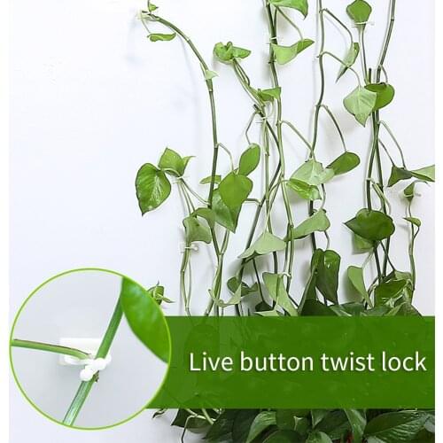 Plant climbing wall Self-Adhesive Fastener Tied fixture Vine Buckle Hook Garden plant wall climbing Vine Clips Fixed Buckle Hook