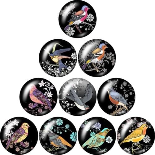 Beauty Vintage Birds Magpie 10pcs mixed 12mm/16mm/18mm/25mm Round photo glass cabochon demo flat back Making findings ZB0979