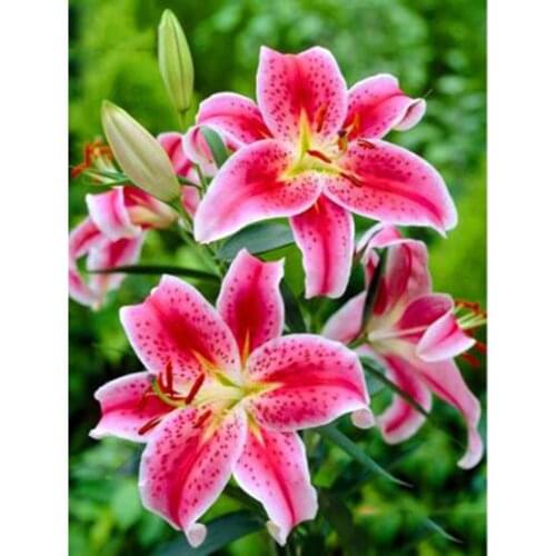 Kexinzu Diamond Mosaic Stitch Flower Diamond Embroidery Sale Beadwork Full 5D Diamond Painting Kits Picture Rhinestone Art