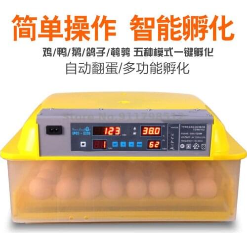 Incubator Foam Box Machine For Hatching Chicks Household Automatic Small Egg Incubator Egg Incubator Incubator Machine