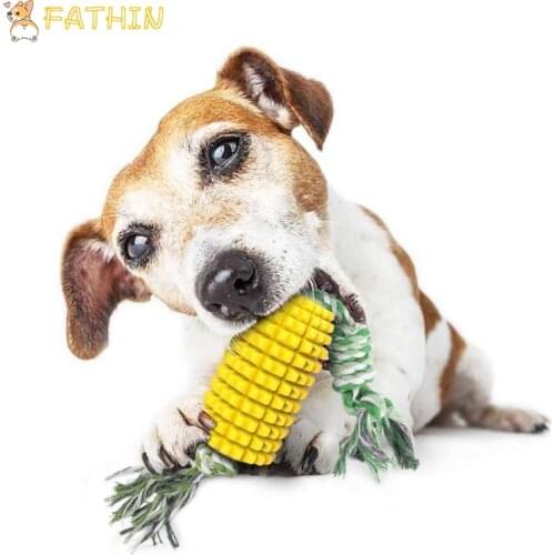 FATHIN Bite Resistant Dog Toys Toothbrush TPR Dog Toy with Rope Pet Supplies Rope Dog Toy